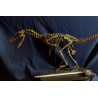 Velocirraptor