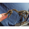 Velocirraptor