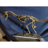 Velocirraptor