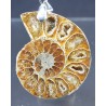 Colgante de Ammonite fosilizado J2738