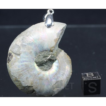 Colgante de Ammonite fosilizado J2738