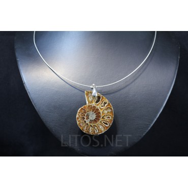 Colgante de Ammonite fosilizado J2738