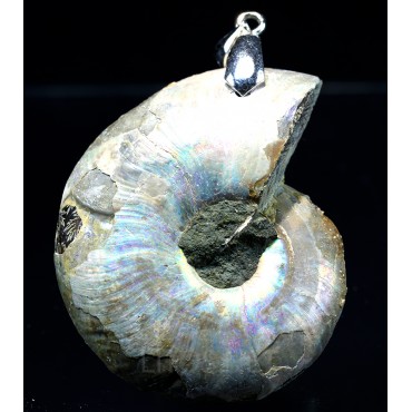 Colgante de Ammonite fosilizado J2738