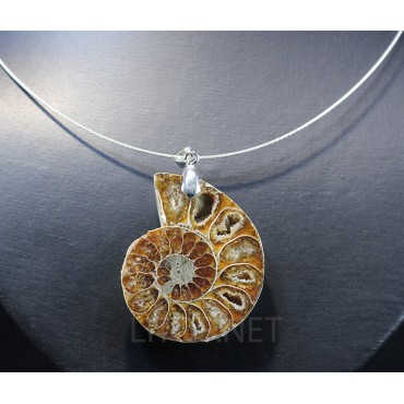 Colgante de Ammonite fosilizado J2738