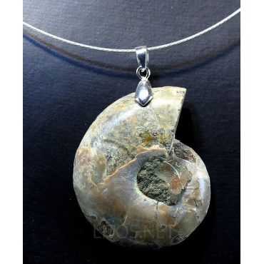 Colgante de Ammonite fosilizado J2741