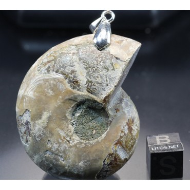 Colgante de Ammonite fosilizado J2742