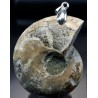Colgante de Ammonite fosilizado J2742