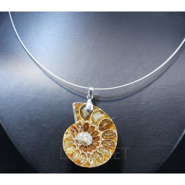 Colgante de Ammonite fosilizado J2742