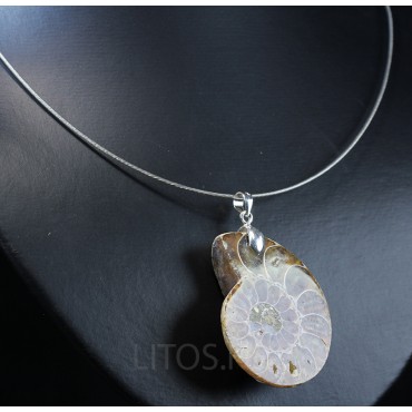 Colgante de Ammonite fosilizado J2742