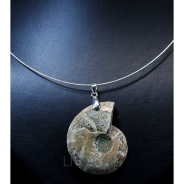 Colgante de Ammonite fosilizado J2742