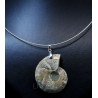 Colgante de Ammonite fosilizado J2742