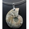 Colgante de Ammonite fosilizado J2742