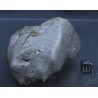 Meteorito NWA M2612