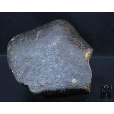 Meteorito NWA M2614