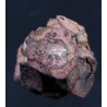 Cobre nativo X1142