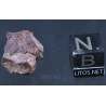 Cobre nativo X1142