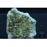 Mineral Demantoide X1378