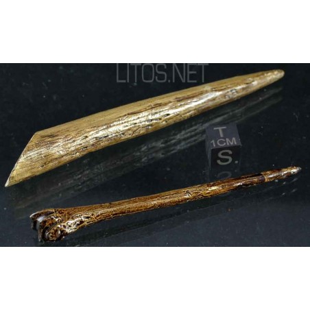 Agujas de hueso Agujas de hueso