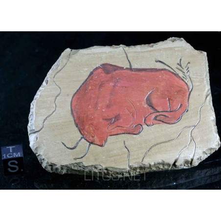 Bisonte altamira Bisonte altamira