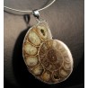 Colgante de Ammonite fosilizado J3238