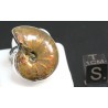 Anillo de Ammonite fosilizado J3272