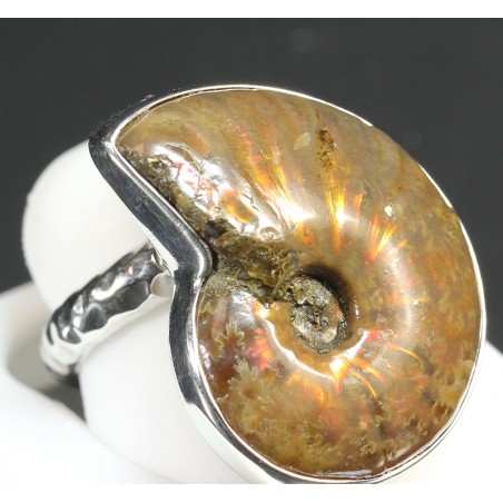 Anillo de Ammonite fosilizado J3272 Anillo de Ammonite fosilizado J3272