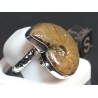 Anillo de Ammonite fosilizado J3272