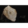 Meteorito NWA 4431 M3092
