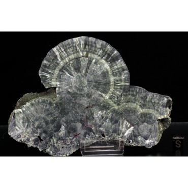 Mineral serafinita (clinocloro) X2010