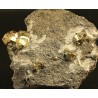 Mineral pirita X2133