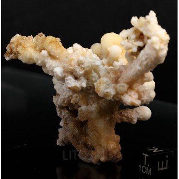 Mineral aragonito coraloide