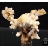 Mineral aragonito coraloide