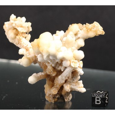 Mineral aragonito coraloide