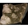 Mineral calcita