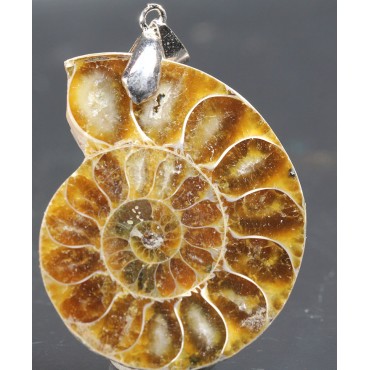 Colgante de ammonite fosilizado