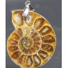 Colgante de ammonite fosilizado