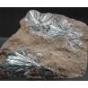 Mineral pirolusita