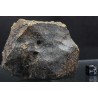 Meteorito NWA 869