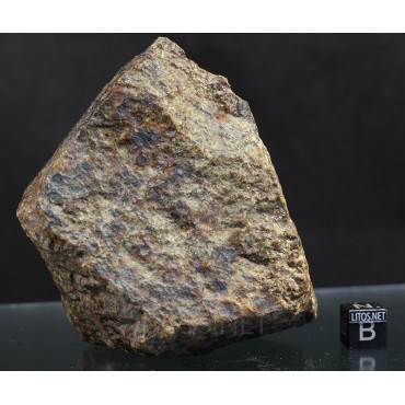 Meteorito NWA 869