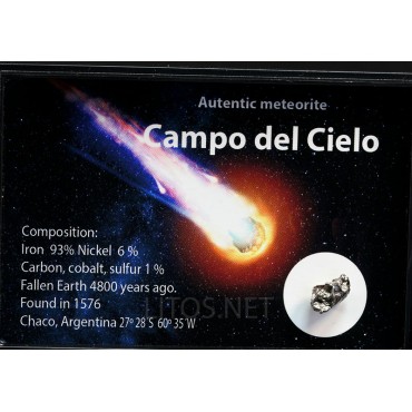 Campo del Cielo Meteorito