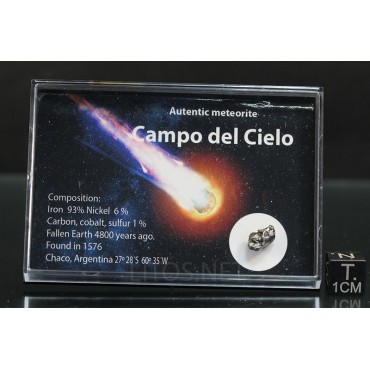 Campo del Cielo Meteorito